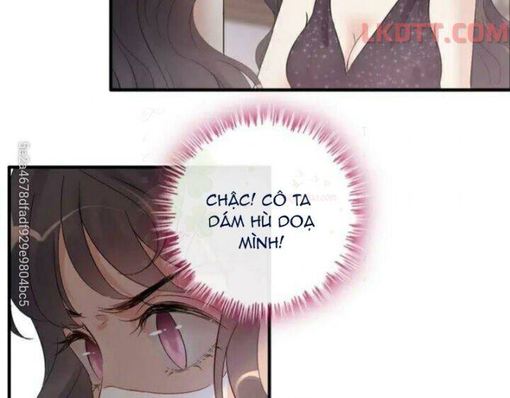 Cô Vợ Hợp Đồng Bỏ Trốn Của Tổng Giám Đốc Chapter 342 - 23