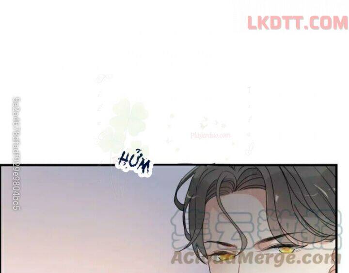 Cô Vợ Hợp Đồng Bỏ Trốn Của Tổng Giám Đốc Chapter 342 - 47