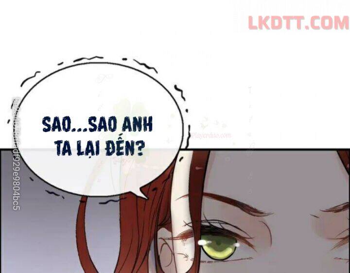 Cô Vợ Hợp Đồng Bỏ Trốn Của Tổng Giám Đốc Chapter 342 - 6