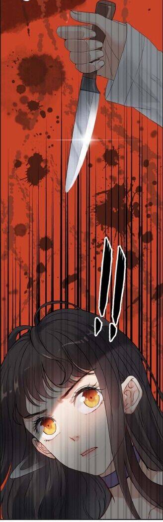 Cô Vợ Hợp Đồng Bỏ Trốn Của Tổng Giám Đốc Chapter 345 - 11