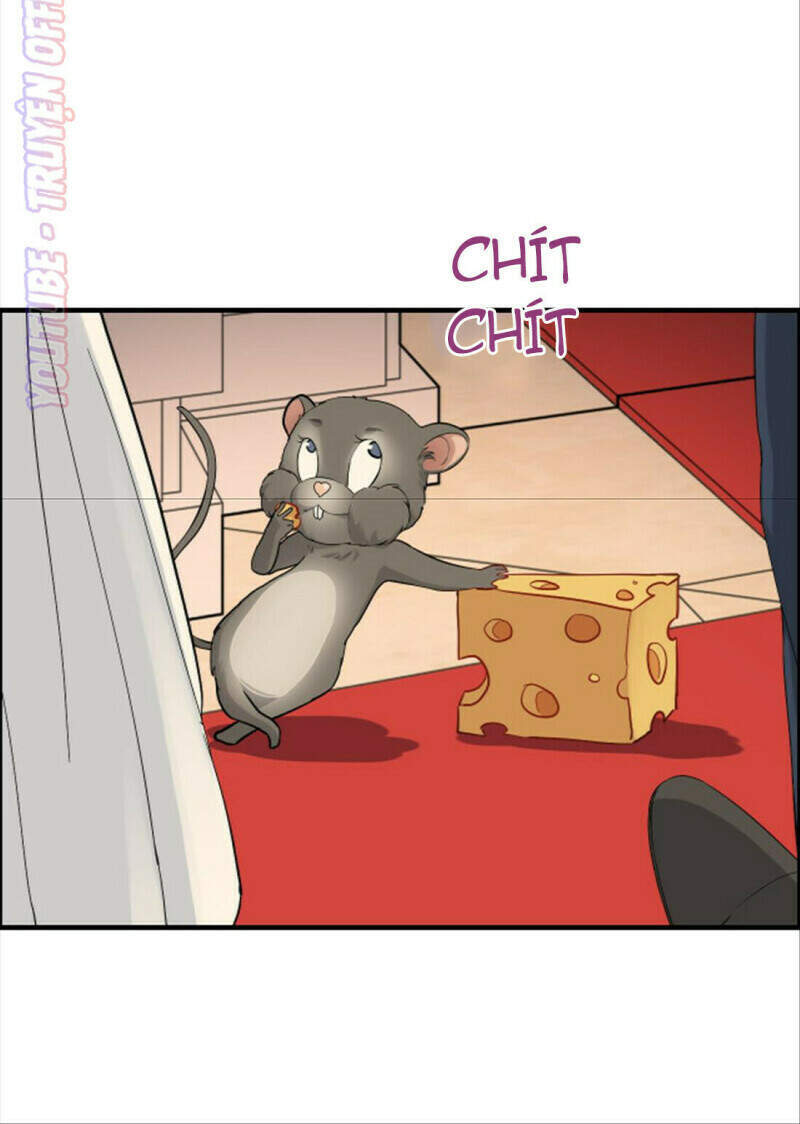 Cô Vợ Hợp Đồng Bỏ Trốn Của Tổng Giám Đốc Chapter 377 - 17