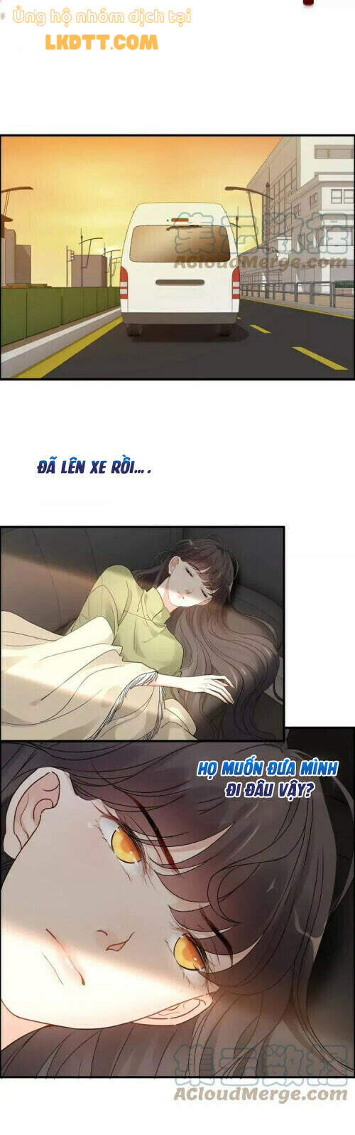 Cô Vợ Hợp Đồng Bỏ Trốn Của Tổng Giám Đốc Chapter 379 - 22