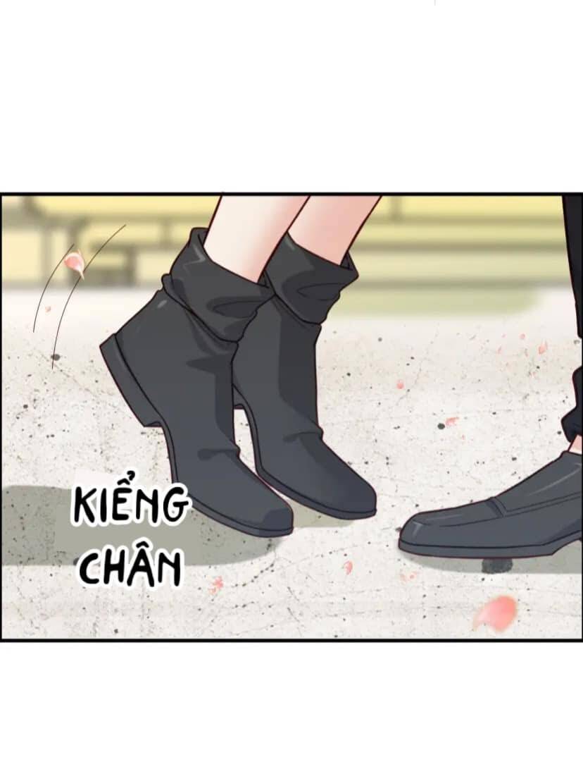 Cô Vợ Hợp Đồng Bỏ Trốn Của Tổng Giám Đốc Chapter 397 - 11