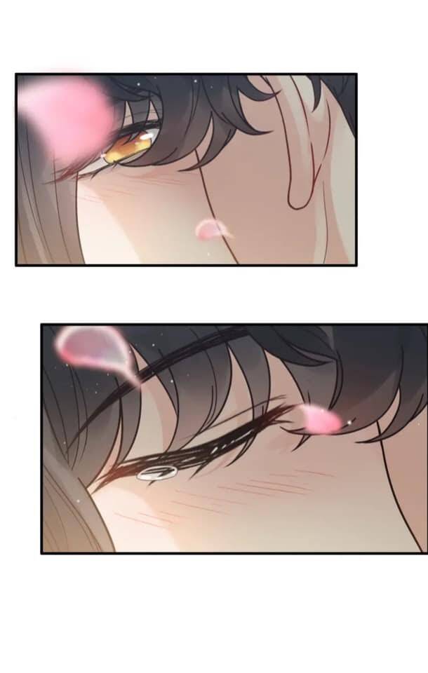 Cô Vợ Hợp Đồng Bỏ Trốn Của Tổng Giám Đốc Chapter 397 - 16