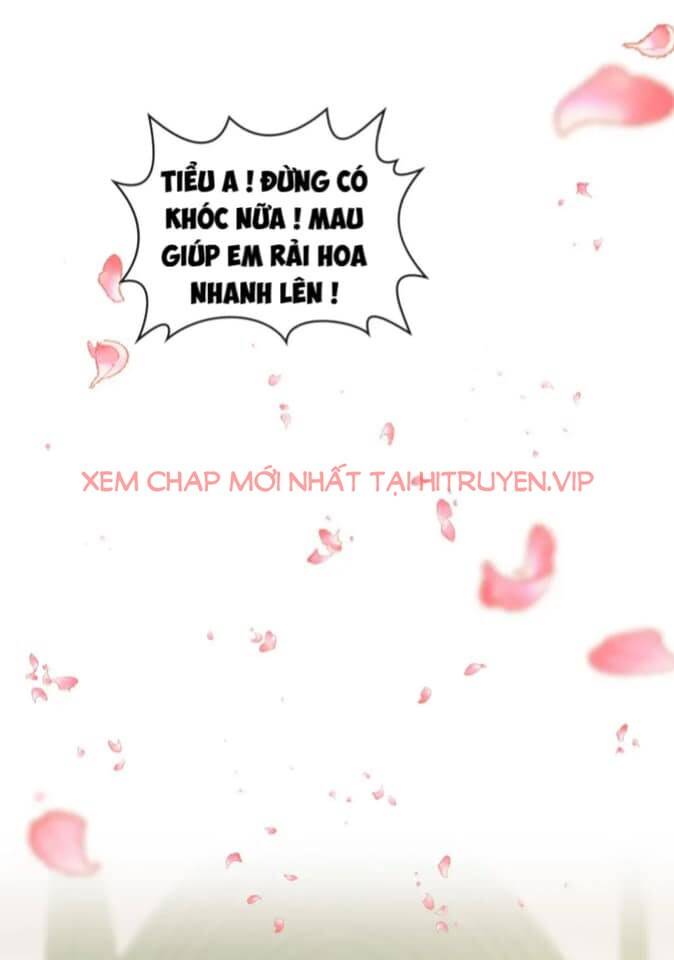 Cô Vợ Hợp Đồng Bỏ Trốn Của Tổng Giám Đốc Chapter 397 - 21