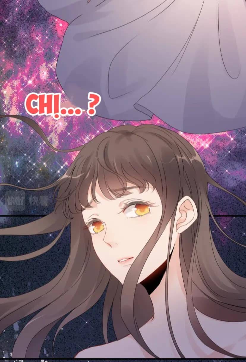 Cô Vợ Hợp Đồng Bỏ Trốn Của Tổng Giám Đốc Chapter 400 - 15