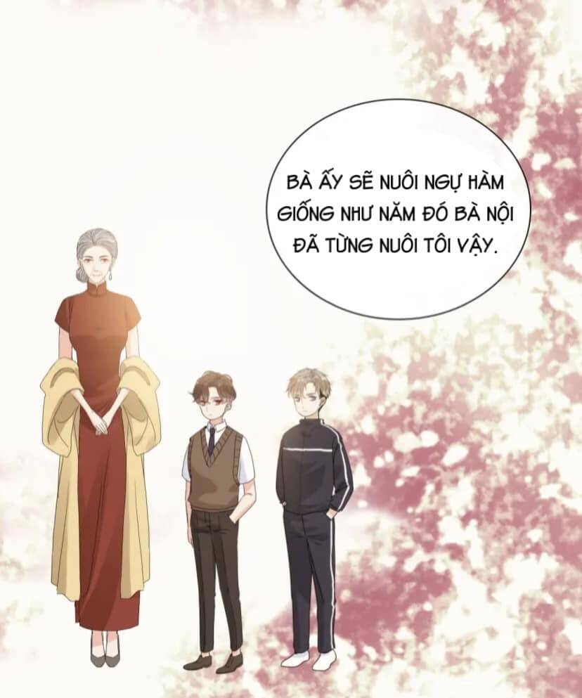 Cô Vợ Hợp Đồng Bỏ Trốn Của Tổng Giám Đốc Chapter 401 - 22