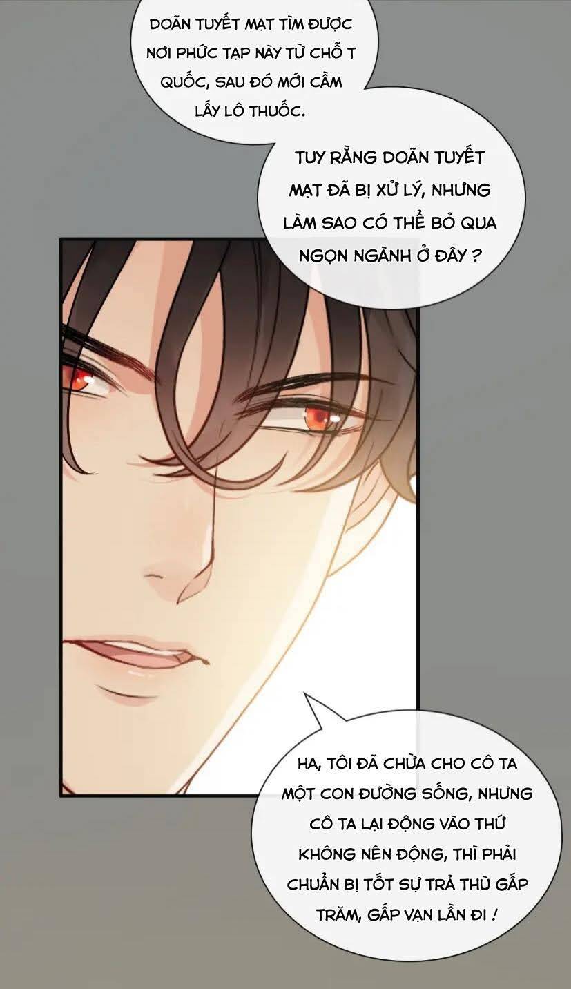 Cô Vợ Hợp Đồng Bỏ Trốn Của Tổng Giám Đốc Chapter 402 - 6