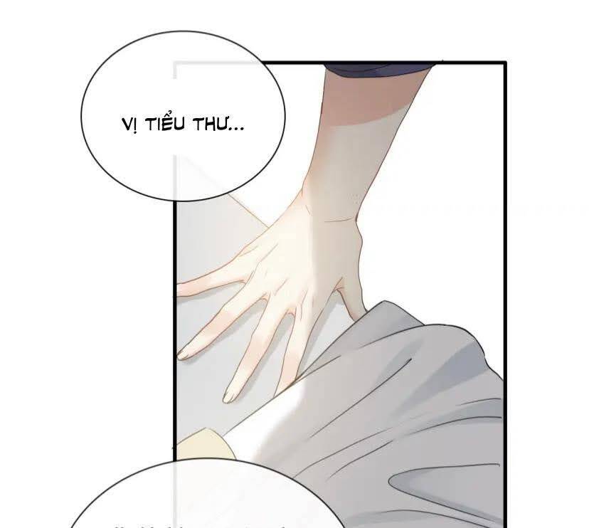 Cô Vợ Hợp Đồng Bỏ Trốn Của Tổng Giám Đốc Chapter 407 - 9