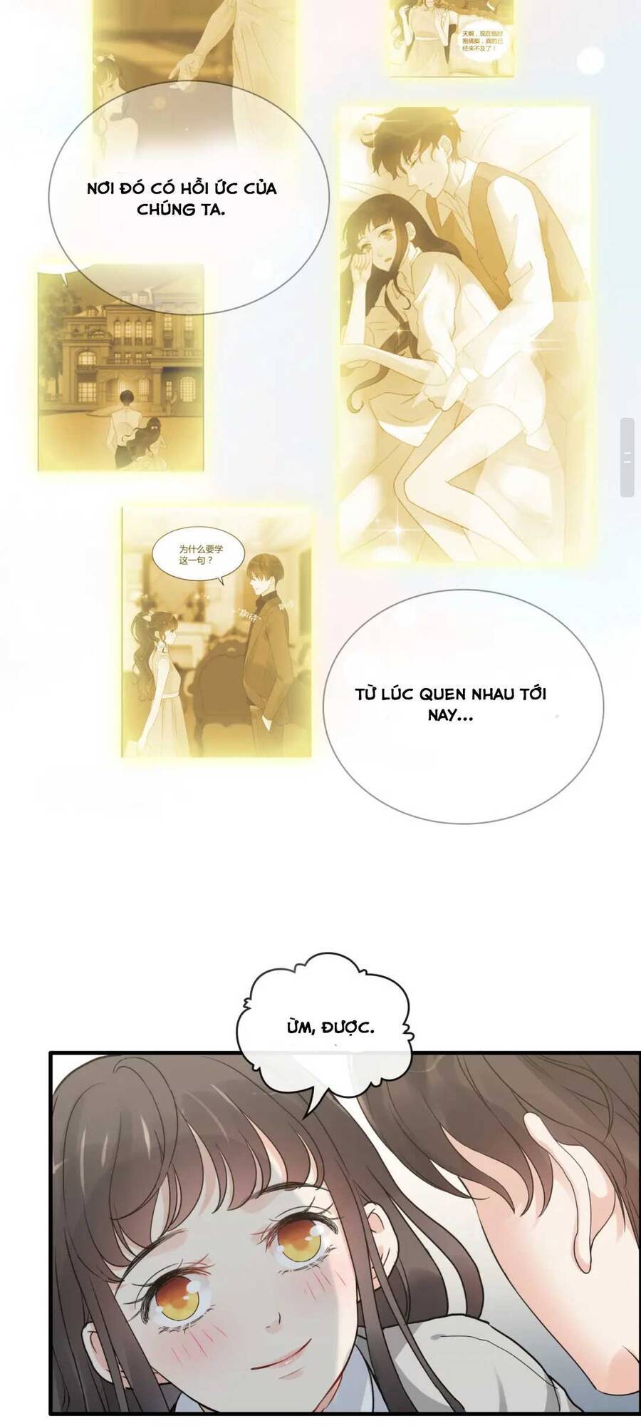 Cô Vợ Hợp Đồng Bỏ Trốn Của Tổng Giám Đốc Chapter 410 - 10