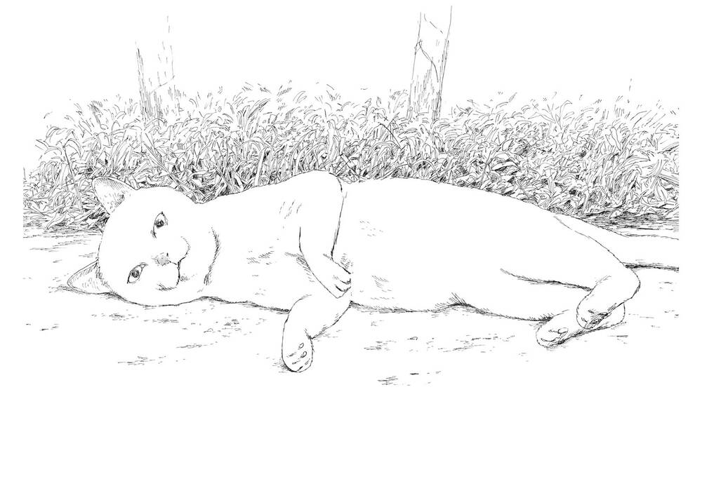 Đường Mòn Máu Chapter 95 - 19