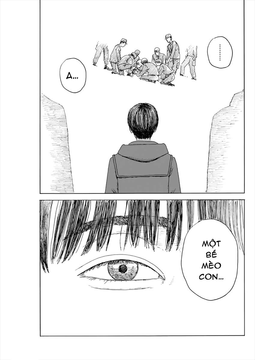 Đường Mòn Máu Chapter 95 - 22