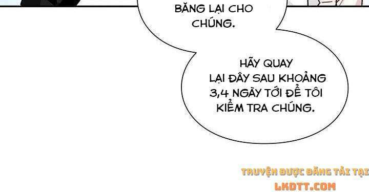 Nữ Hoàng Ngoại Khoa Chapter 103 - 13