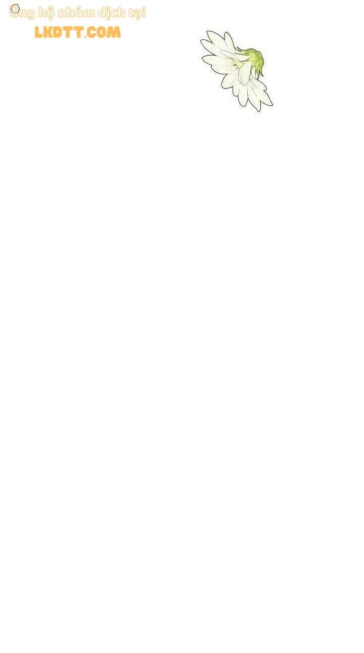 Nữ Hoàng Ngoại Khoa Chapter 81 - 60