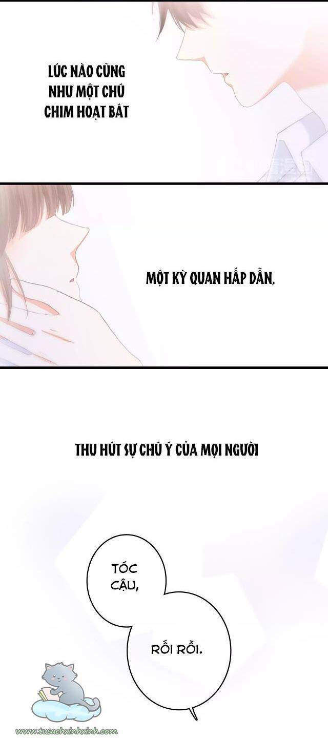 Con Tim Rung Động Chapter 53 - 29