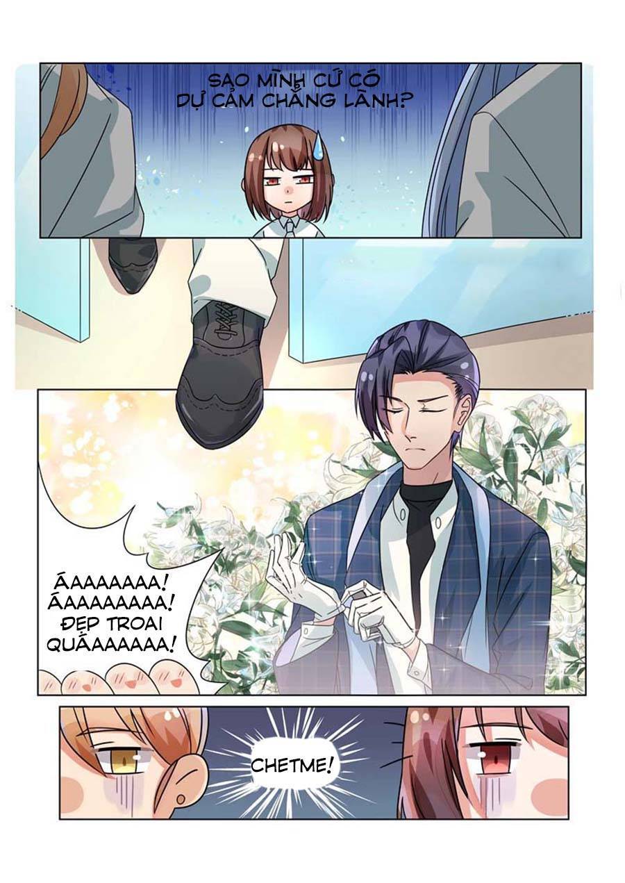 Tế Phẩm Tân Nương Của Tổng Tài Ác Ma Chapter 154 - 10