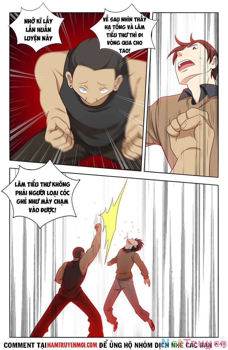 Tối Cường Phản Sáo Lộ Hệ Thống Chapter 532 - 7