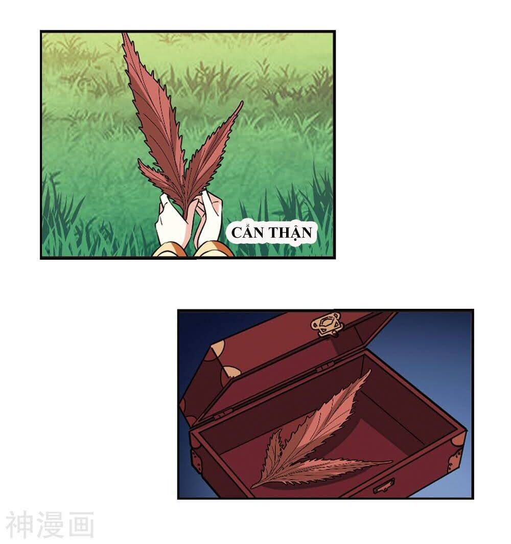 Phong Khởi Thương Lam Chapter 452 - 5