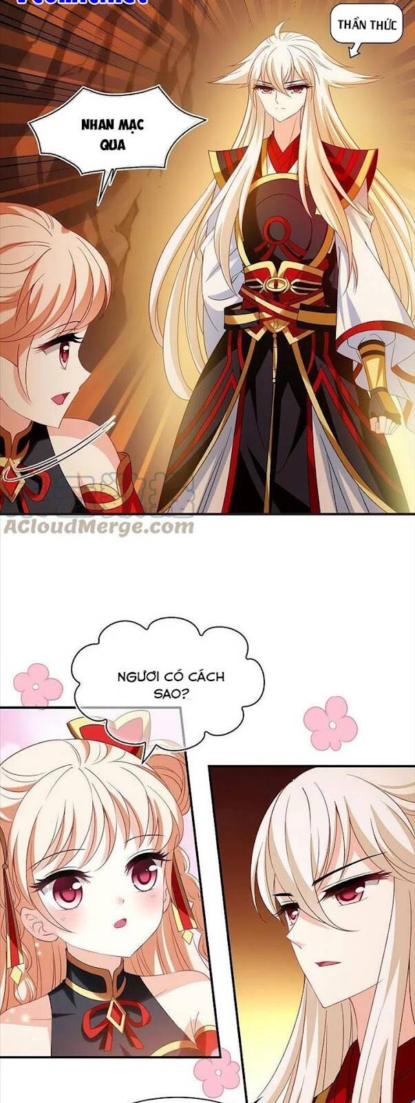 Phong Khởi Thương Lam Chapter 557 - 2