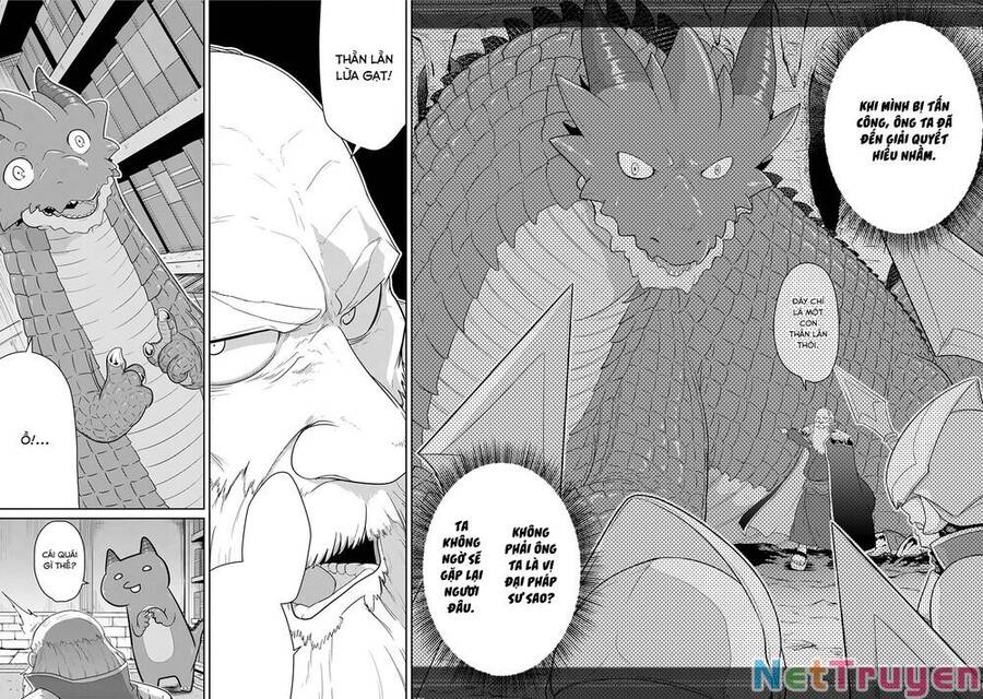 Weak 5000 – Year Old Vegan Dragon Chapter 21 - 4