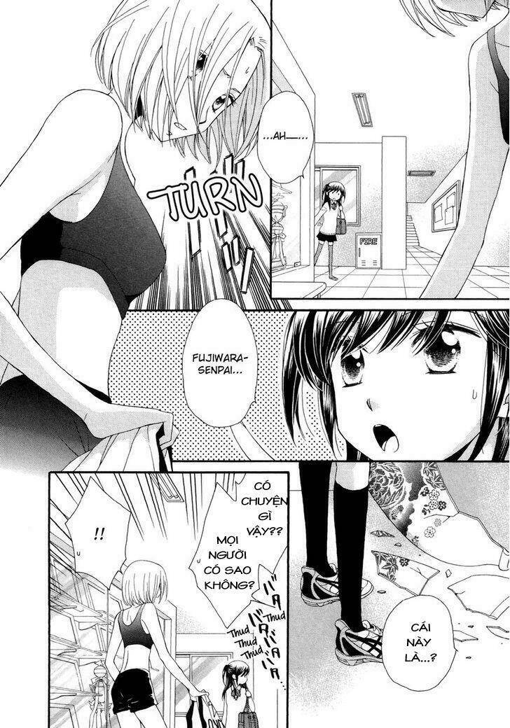 The Princess's Mirror Chapter 1 - 4