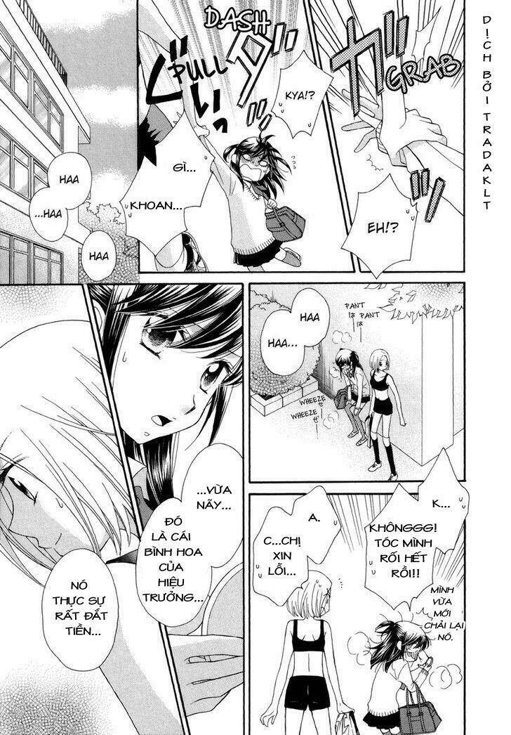 The Princess's Mirror Chapter 1 - 5