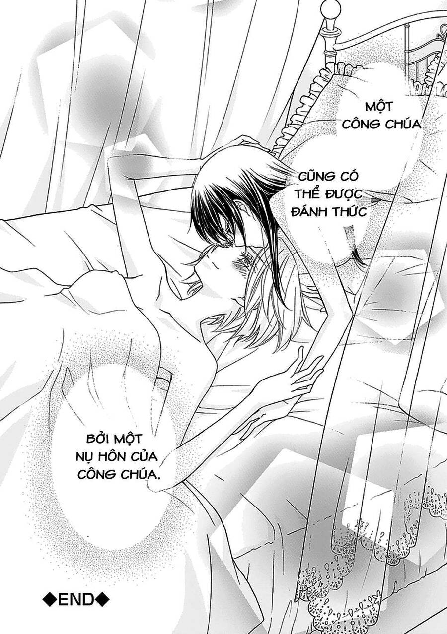 The Princess's Mirror Chapter 6 - 24