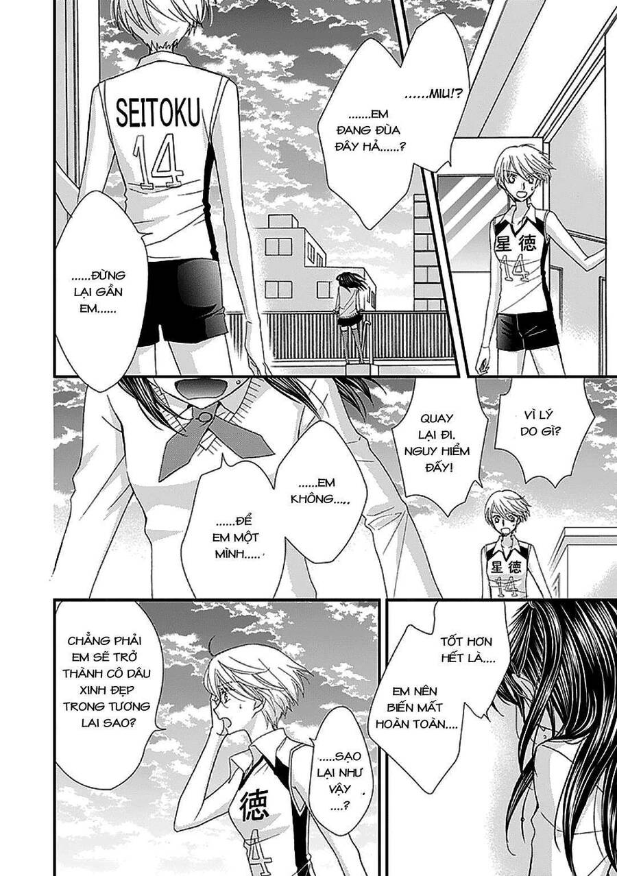 The Princess's Mirror Chapter 6 - 8