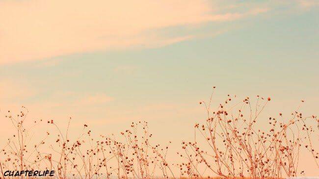 The Story Of A Girl With Sanpaku Eyes Chapter 26 - 1