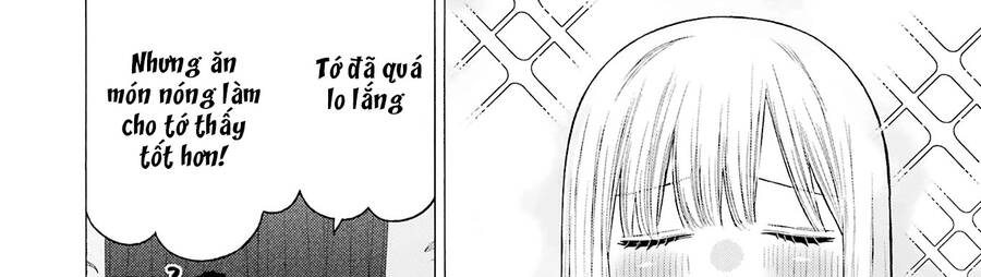Nàng Nổi Loạn X Chàng Thợ May Chapter 75 - 95