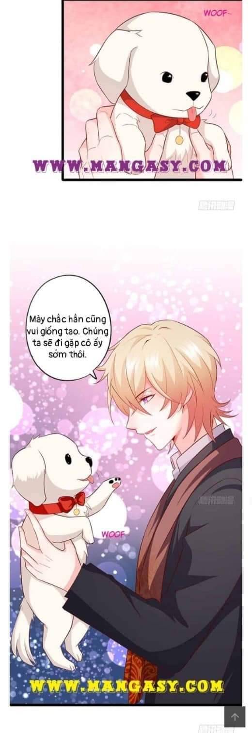 Hắc Đạo Này Có Chút Manh Chapter 104 - 27