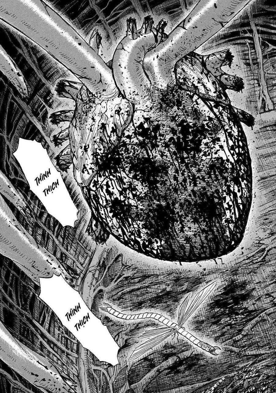 Đảo Ma Cà Rồng Phần 3 Chapter 757 - 3