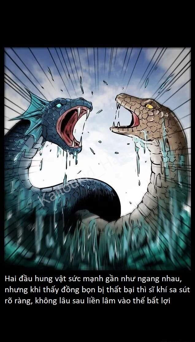 U Minh Ngụy Tượng Chapter 289 - 7