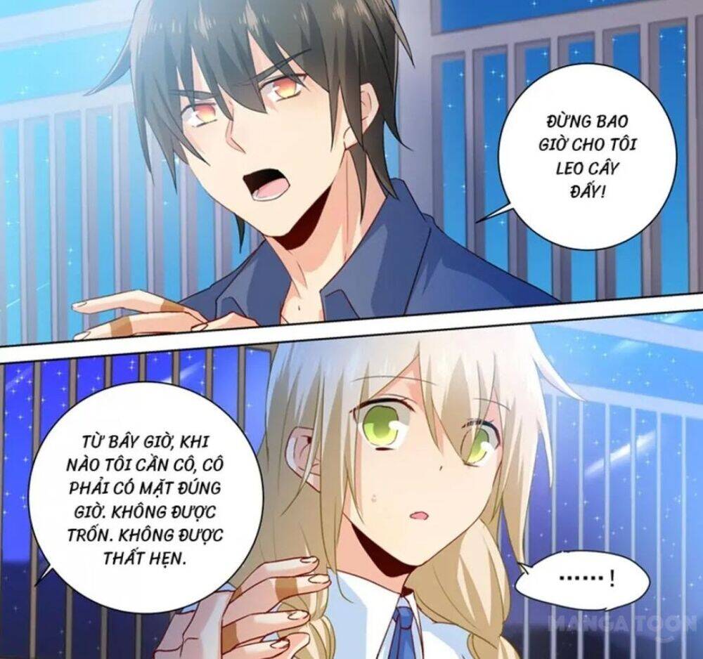 Tổng Tài Tại Thượng Chapter 137 - 12