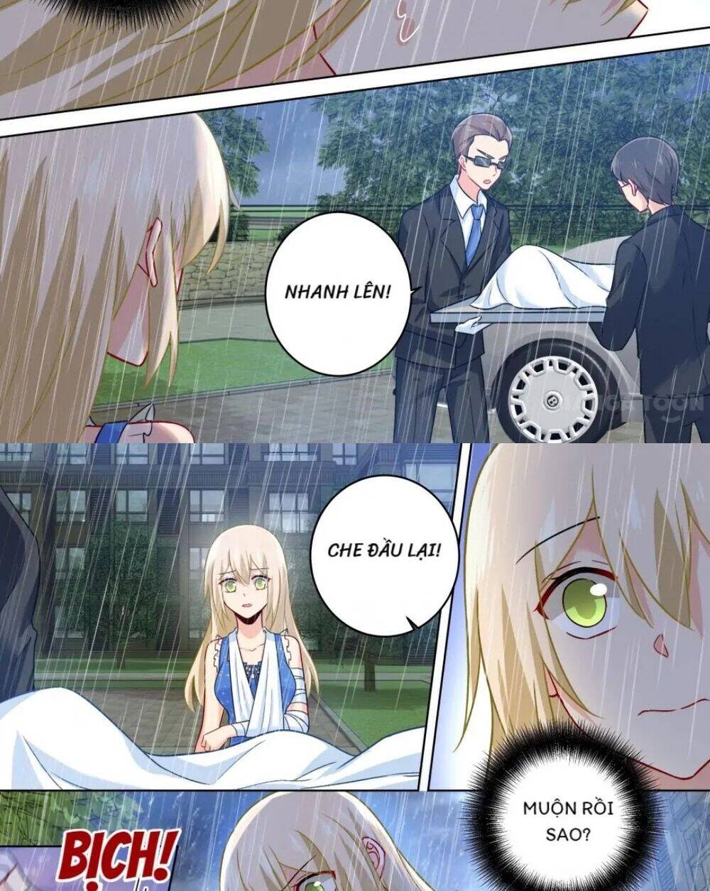 Tổng Tài Tại Thượng Chapter 207 - 5