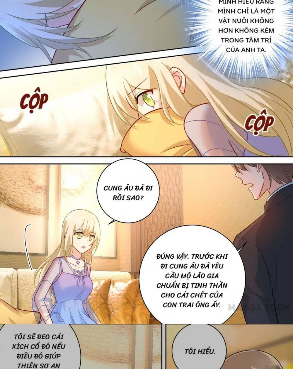 Tổng Tài Tại Thượng Chapter 247 - 8