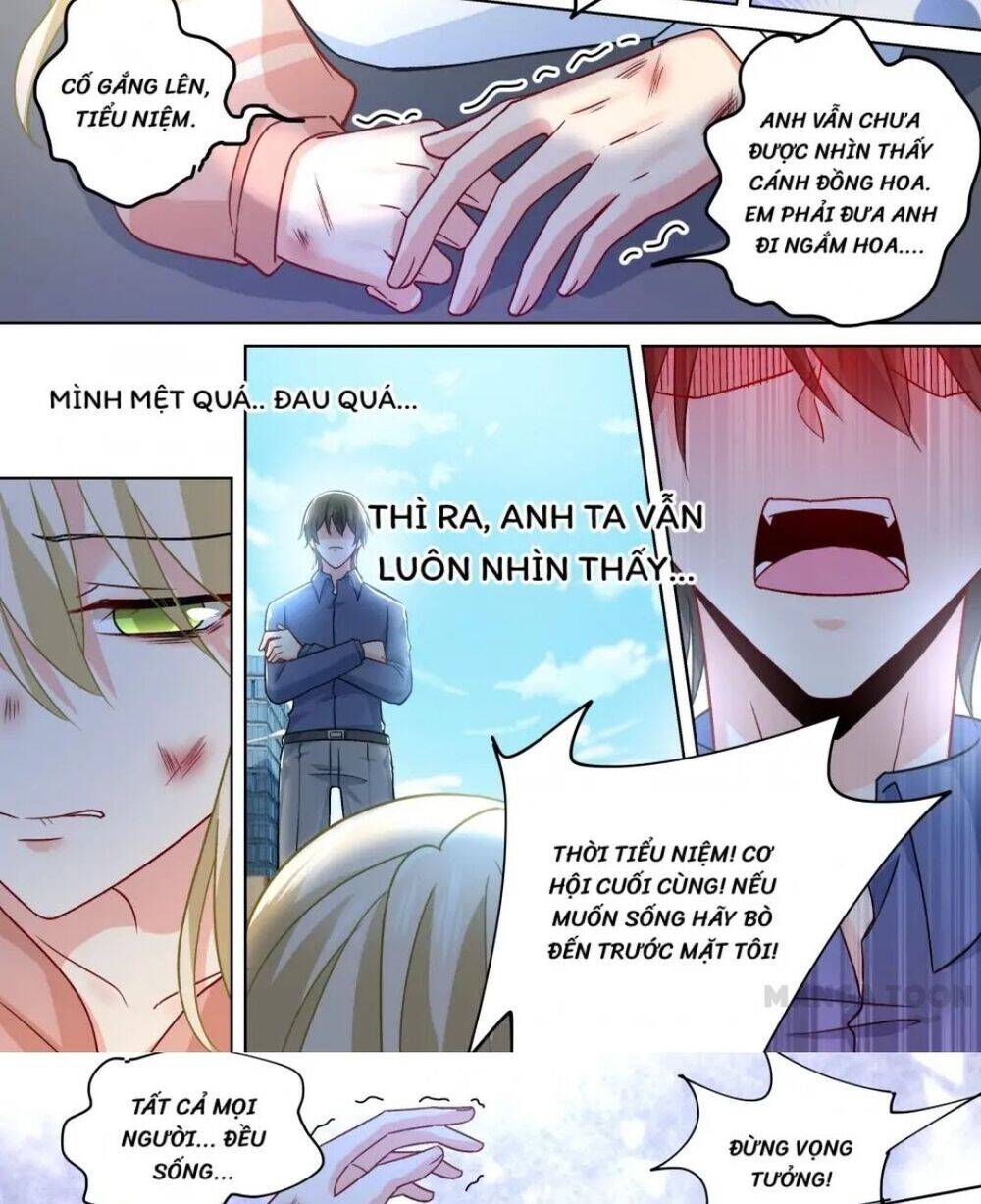 Tổng Tài Tại Thượng Chapter 252 - 8