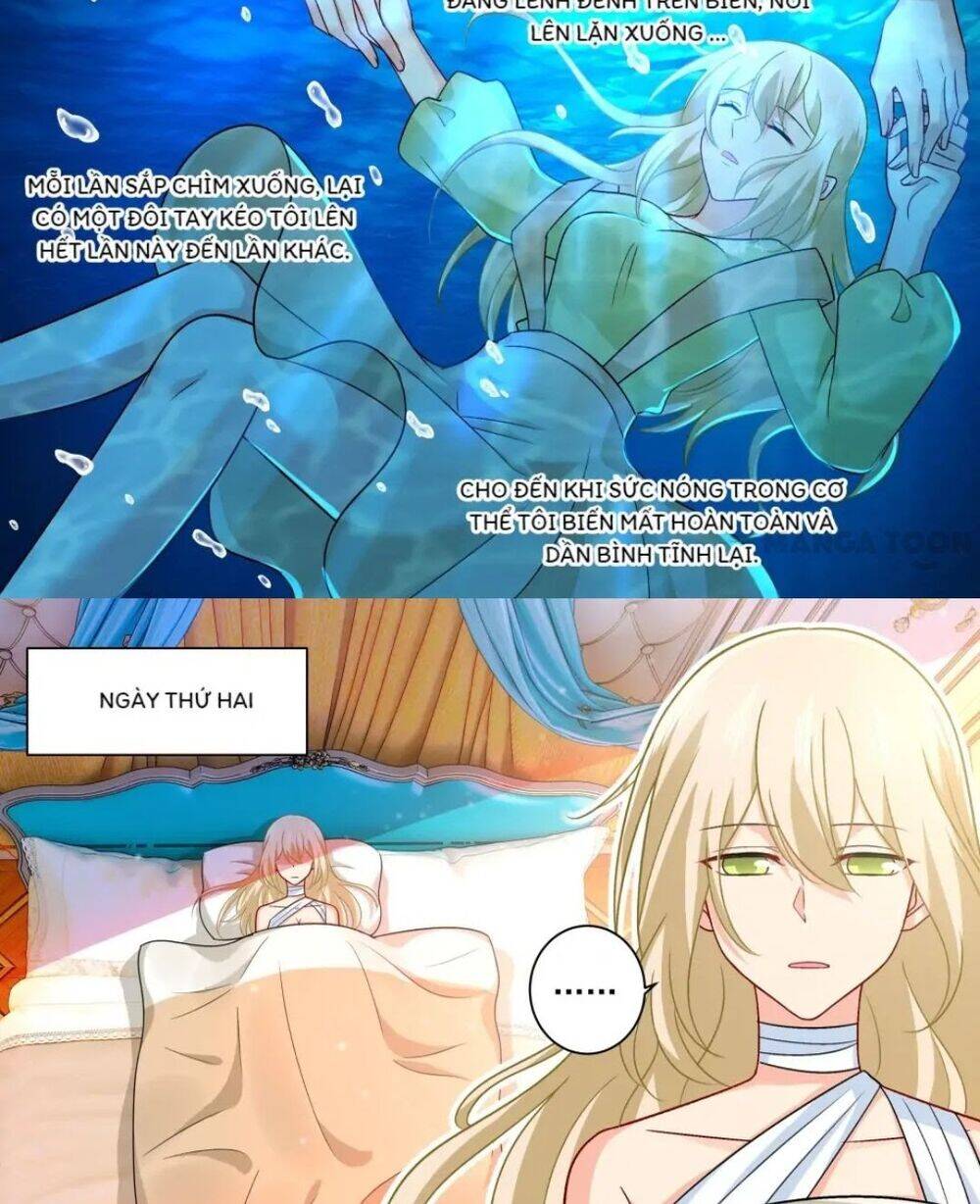 Tổng Tài Tại Thượng Chapter 256 - 5