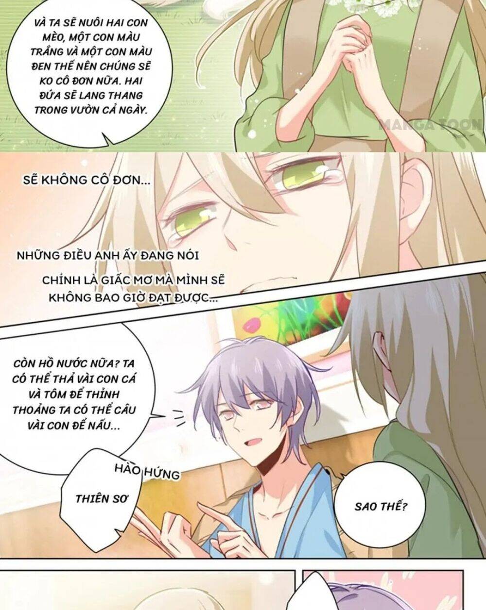 Tổng Tài Tại Thượng Chapter 260 - 3