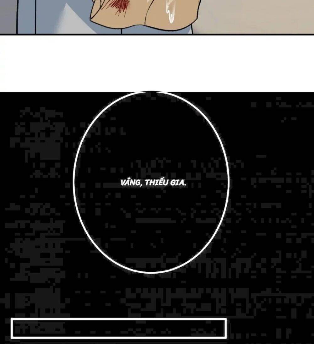 Tổng Tài Tại Thượng Chapter 269 - 25