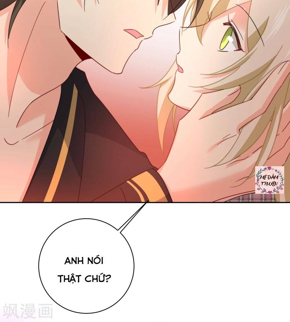 Tổng Tài Tại Thượng Chapter 321 - 42