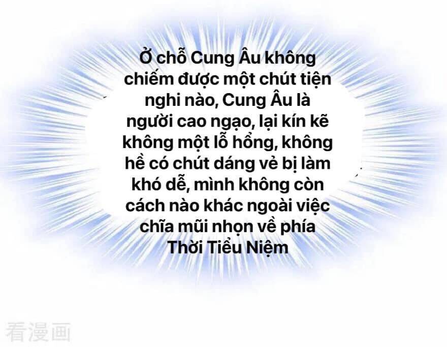 Tổng Tài Tại Thượng Chapter 338 - 22