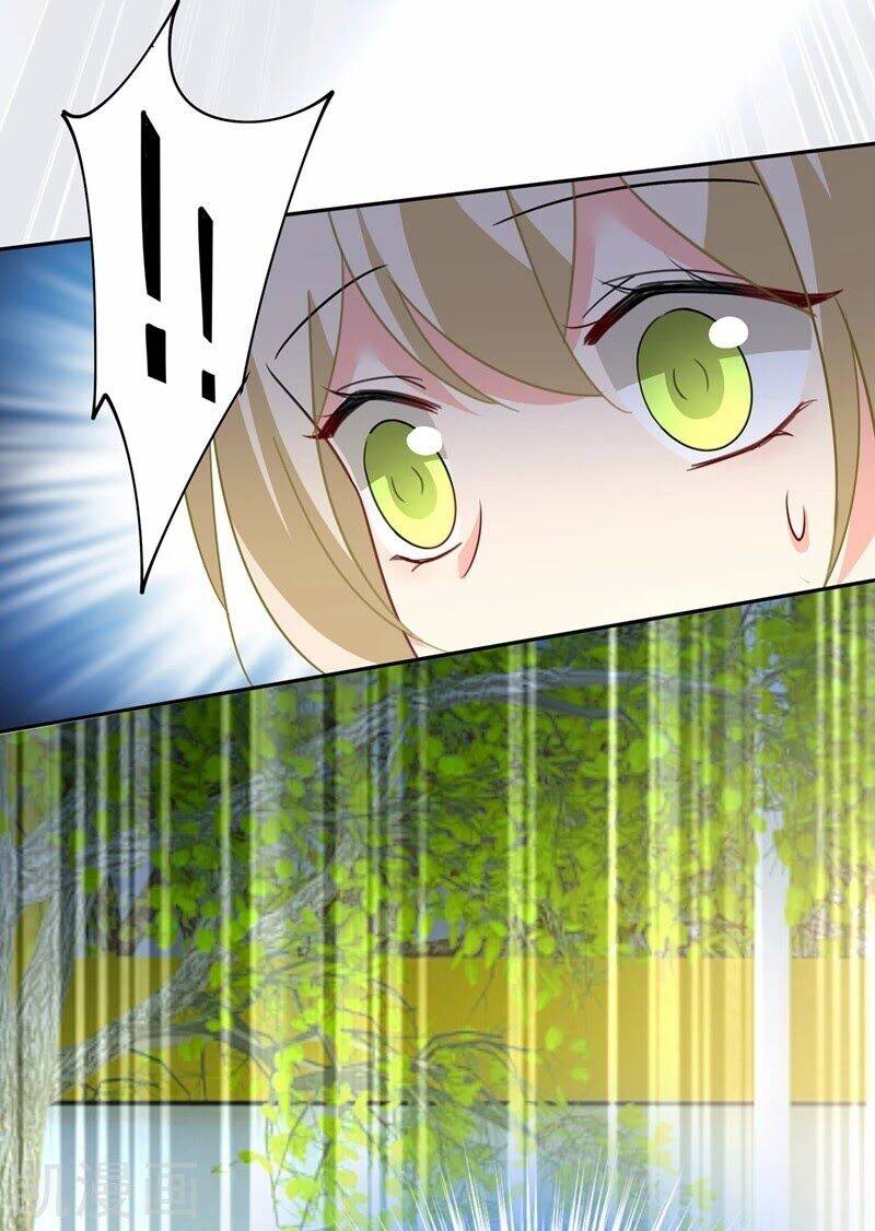 Tổng Tài Tại Thượng Chapter 339 - 17