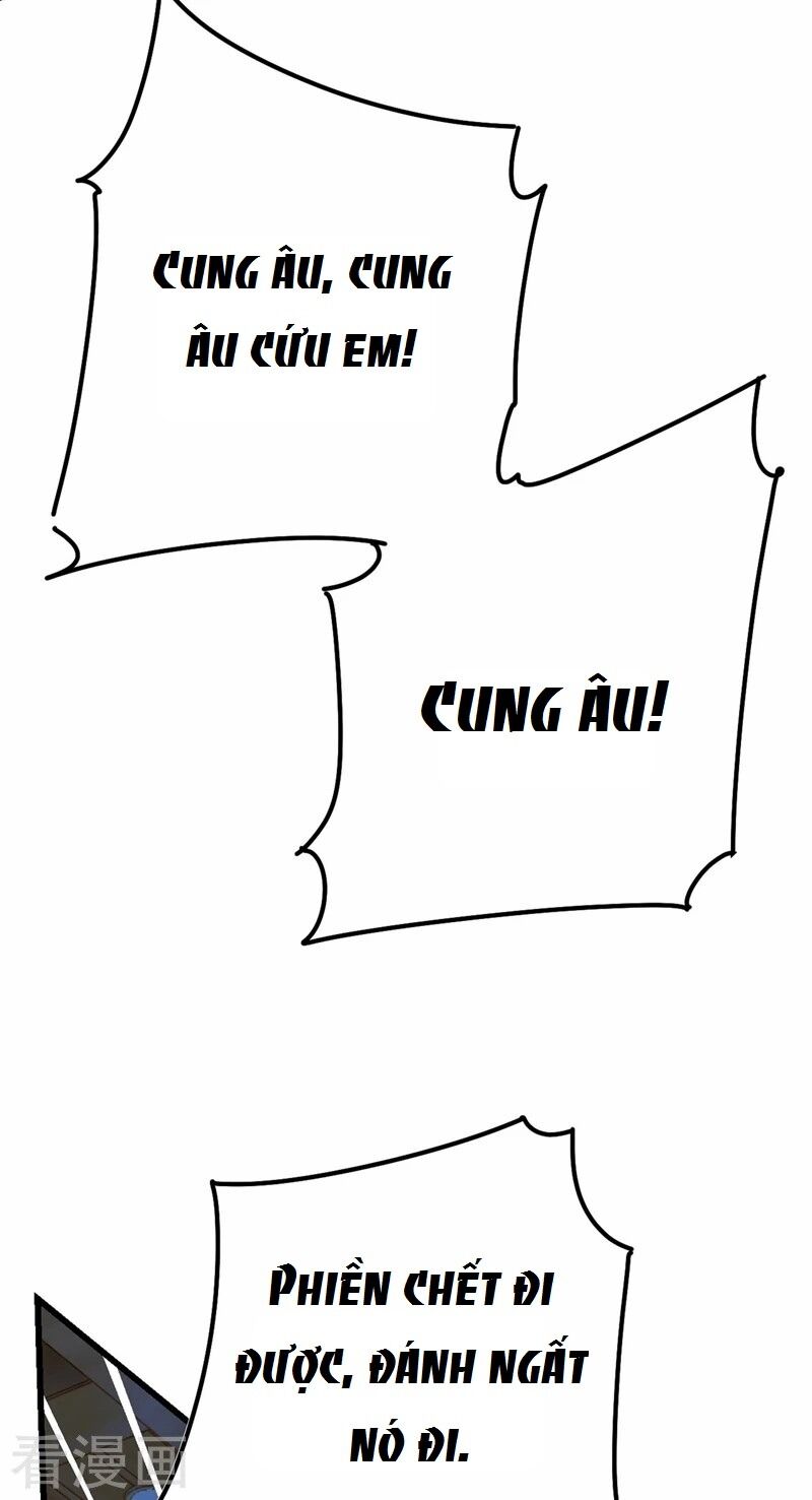 Tổng Tài Tại Thượng Chapter 372 - 51