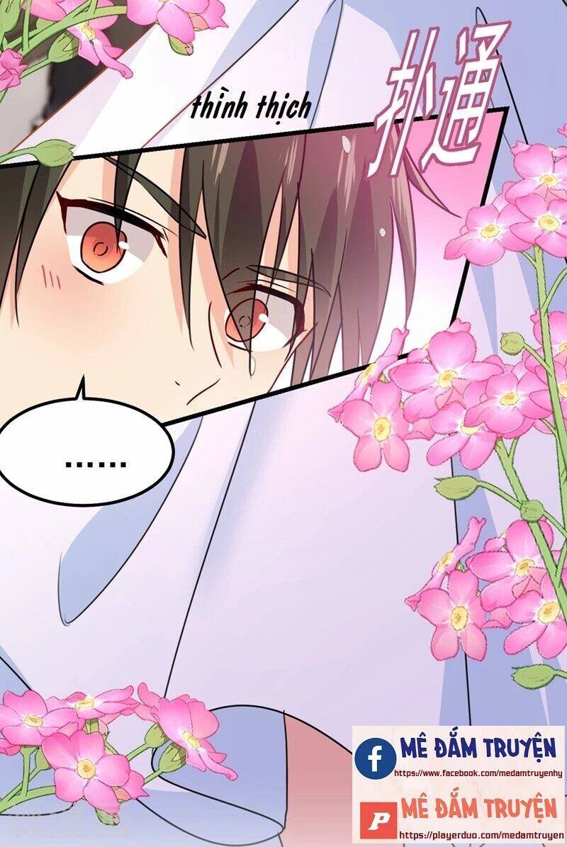 Tổng Tài Tại Thượng Chapter 384 - 13