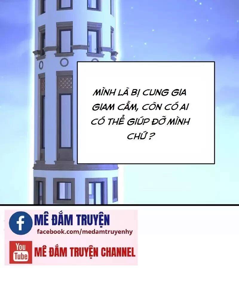 Tổng Tài Tại Thượng Chapter 483 - 51