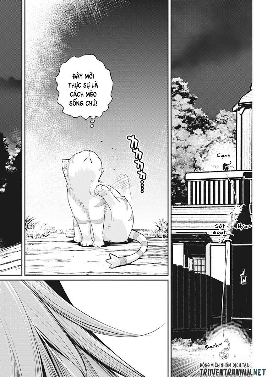 I Am Behemoth Of The S Rank Monster But I Am Mistaken As A Cat And I Live As A Pet Of Elf Girl Chapter 38 - 23
