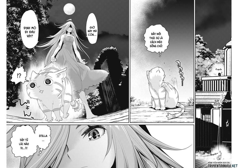 I Am Behemoth Of The S Rank Monster But I Am Mistaken As A Cat And I Live As A Pet Of Elf Girl Chapter 38 - 24