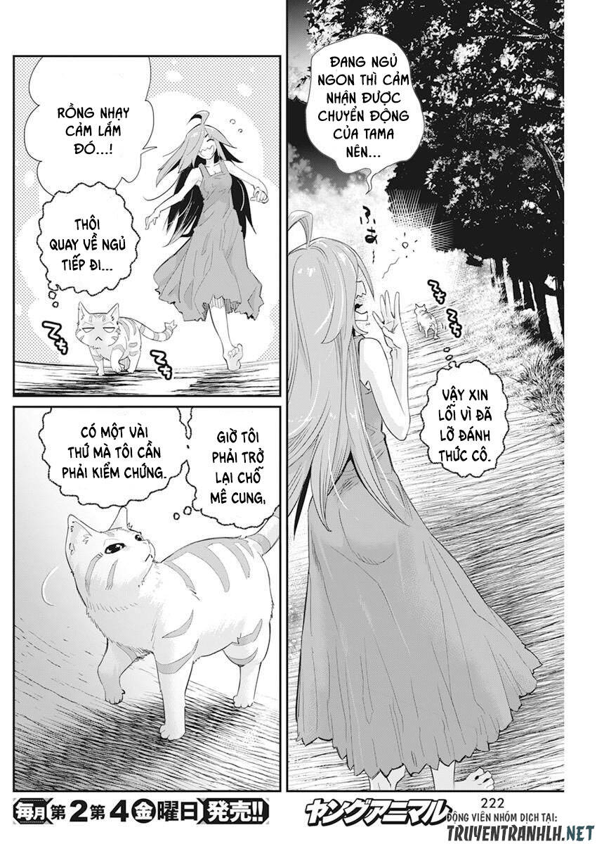 I Am Behemoth Of The S Rank Monster But I Am Mistaken As A Cat And I Live As A Pet Of Elf Girl Chapter 38 - 26