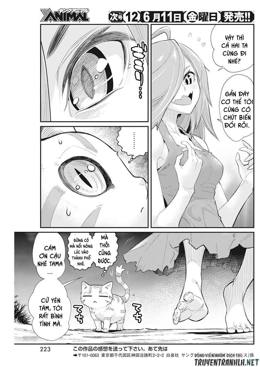 I Am Behemoth Of The S Rank Monster But I Am Mistaken As A Cat And I Live As A Pet Of Elf Girl Chapter 38 - 27